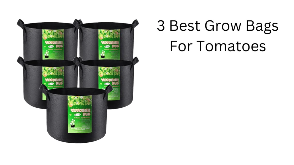 fabric grow bags tomato gardening