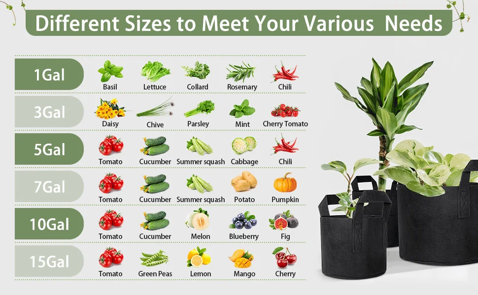 best size grow bag for tomatoes comparison