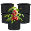 best size grow bag for tomatoes
