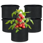 best size grow bag for tomatoes
