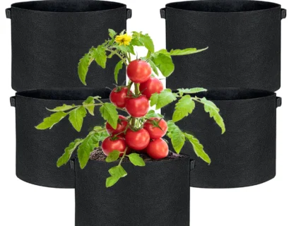 best size grow bag for tomatoes