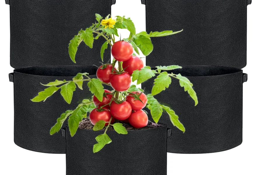 best size grow bag for tomatoes