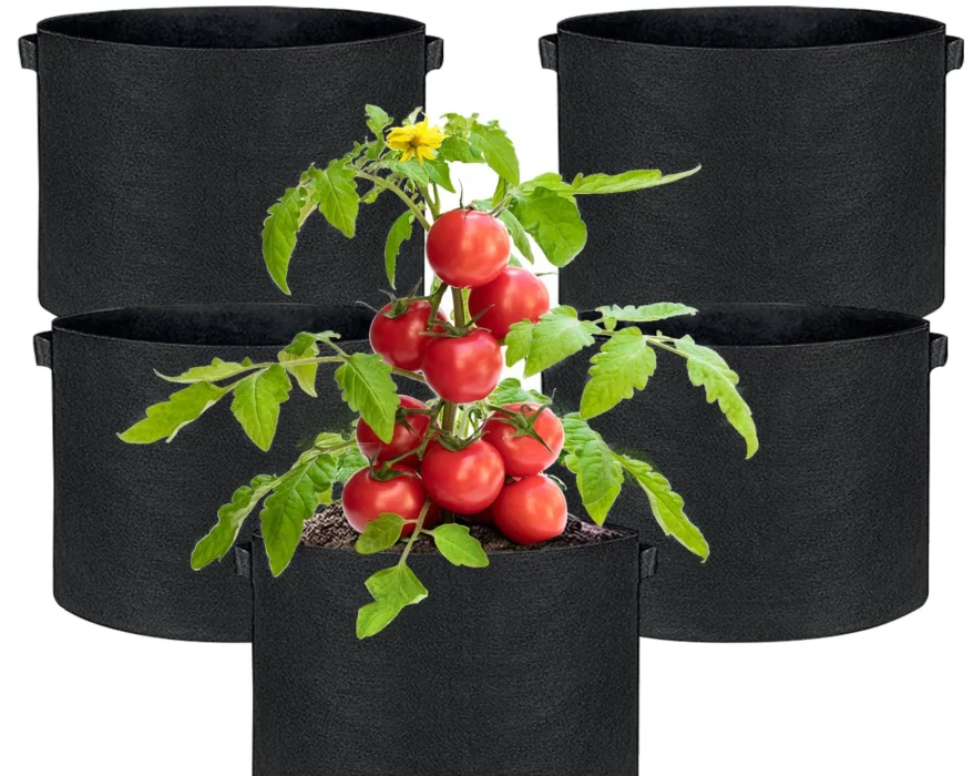 best size grow bag for tomatoes