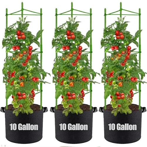 
best size grow bag for tomatoes garden setup