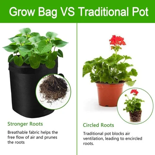 Comparison image of a grow bag and a traditional plant pot showing healthier, stronger roots in a breathable fabric grow bag versus circled roots in a plastic pot.