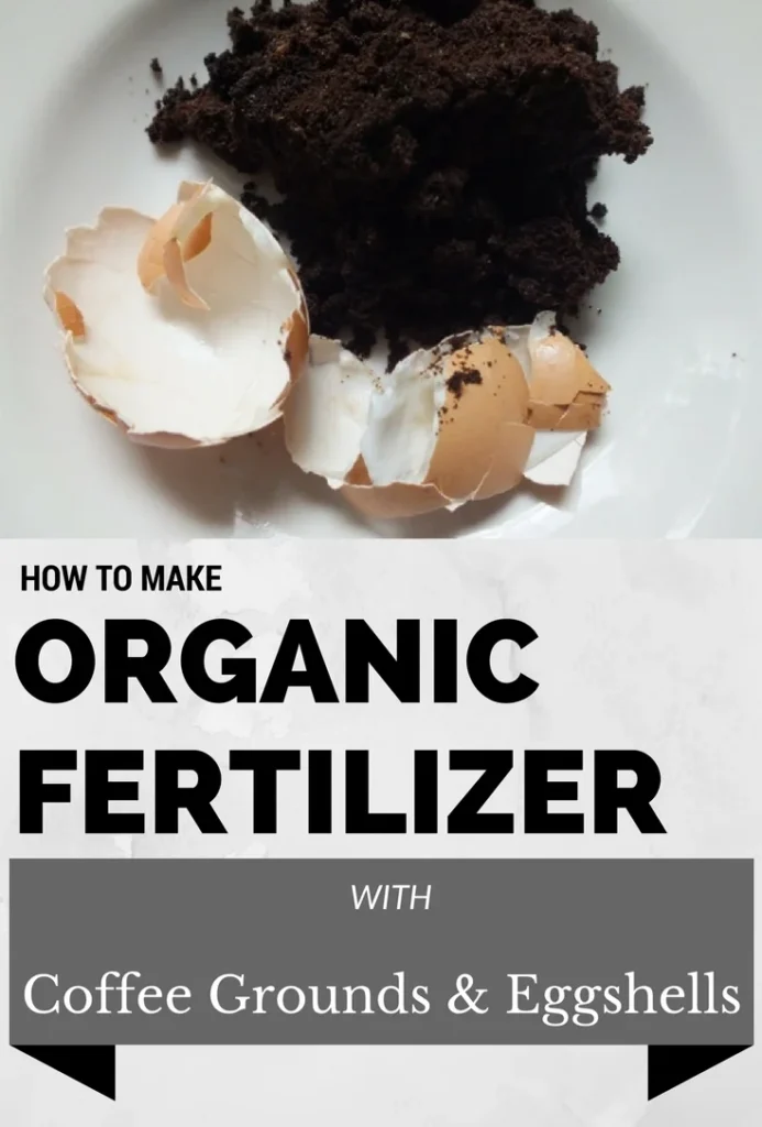A white plate holding a pile of dark brown coffee grounds next to crushed brown eggshells. Below the image, bold text reads "HOW TO MAKE ORGANIC FERTILIZER WITH Coffee Grounds & Eggshells" against a light gray textured background.