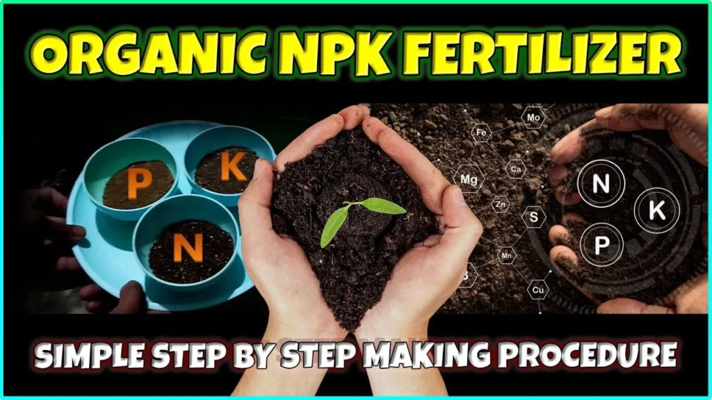 A graphic titled Organic NPK Fertilizer showing hands holding soil with a seedling, bowls labeled N, P, and K, and a chemical element diagram.