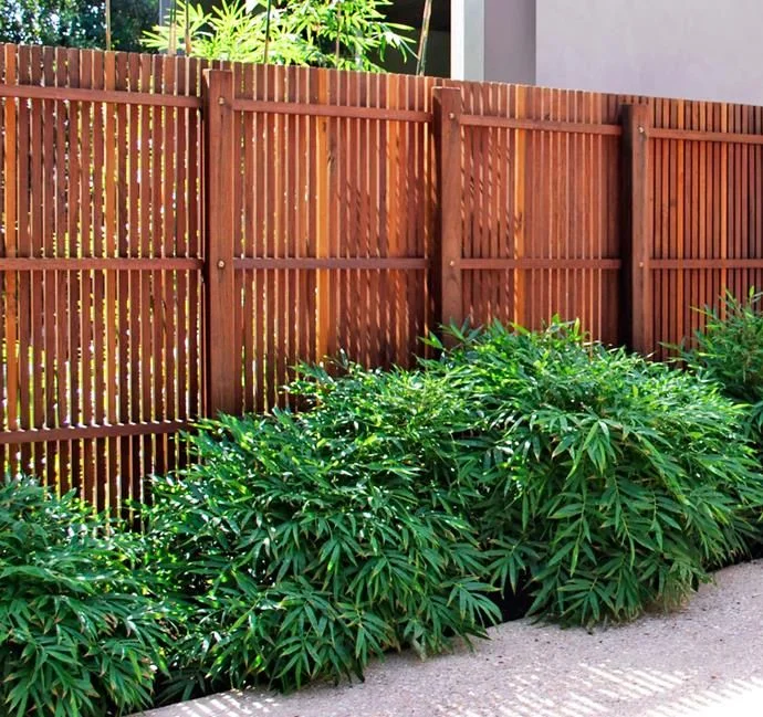 A contemporary horizontal and vertical wooden slat privacy fence with a warm reddish-brown stain, bordered by lush green bamboo shrubs along a garden walkway.