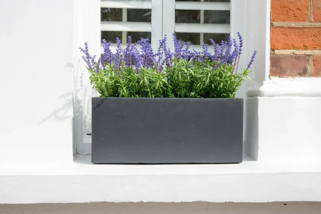 A close-up of a modern rectangular charcoal grey window box planter filled with vibrant purple lavender flowers, sitting on a white stone window sill against a brick wall.