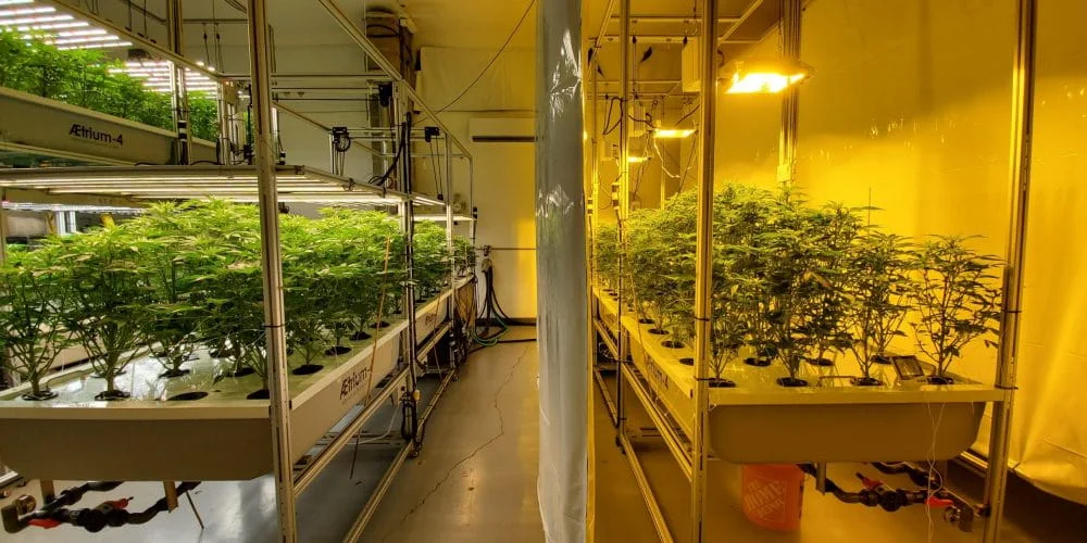 greenhouse lights solar 