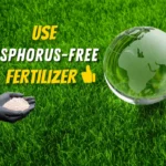 phosphorus free lawn fertilizer