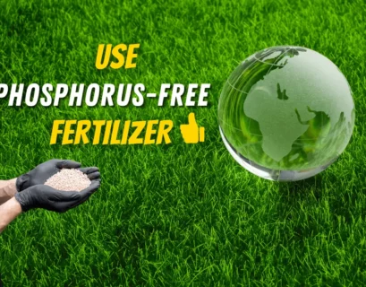 phosphorus free lawn fertilizer