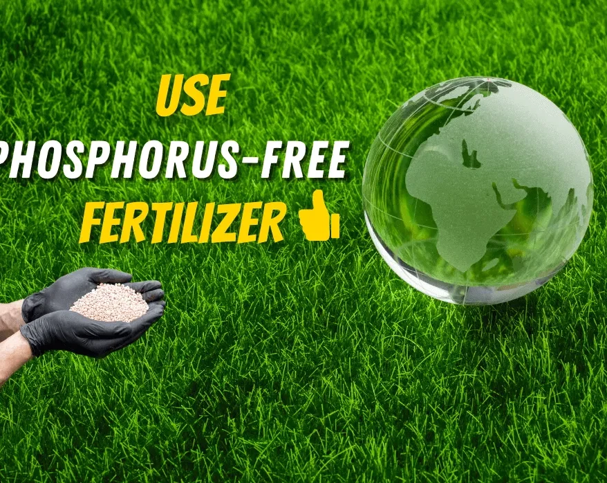 phosphorus free lawn fertilizer