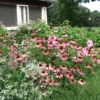 planting in michigan