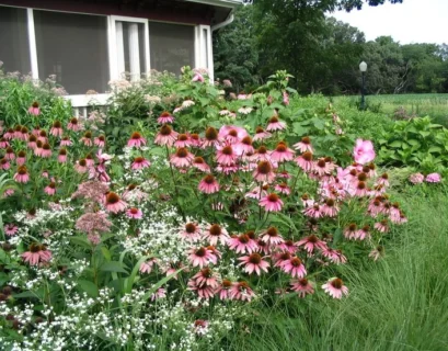planting in michigan