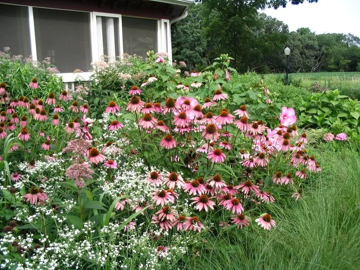 planting in michigan