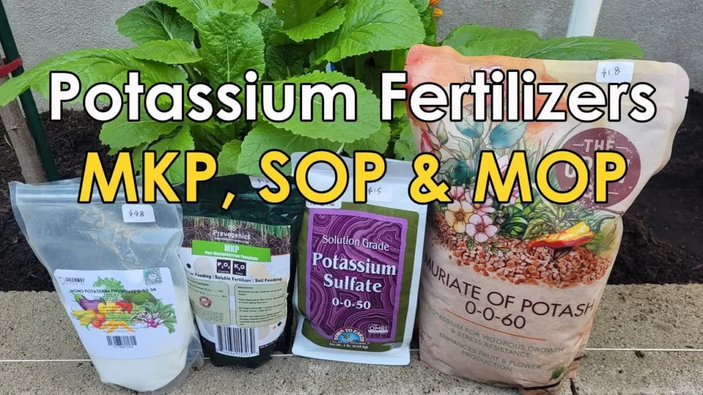 organic potassium fertilizer vegetables garden