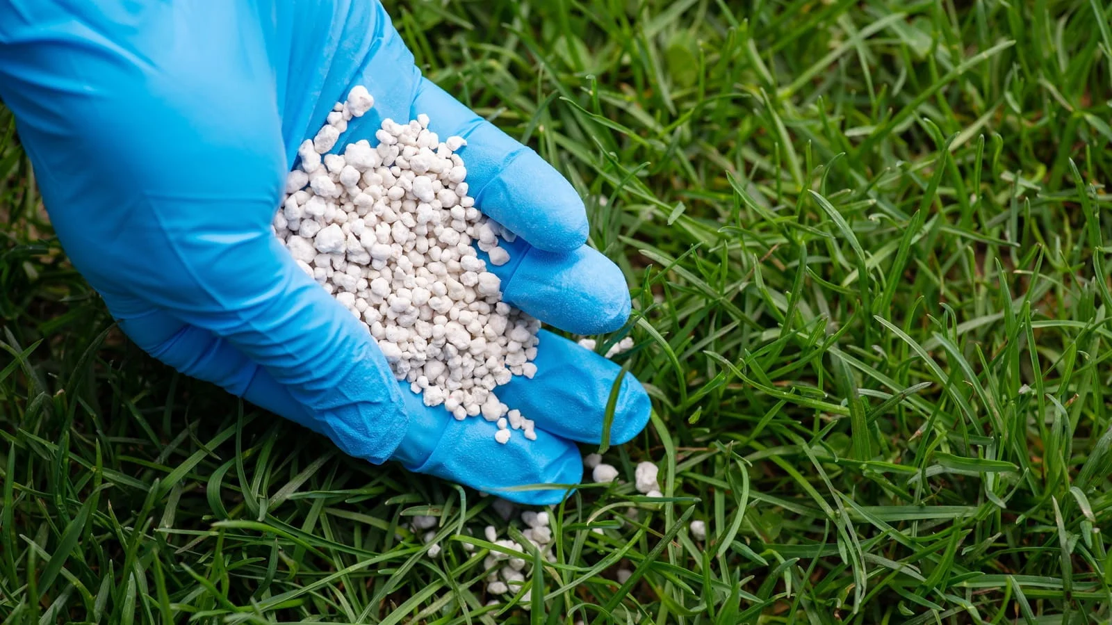 potassium fertilizer