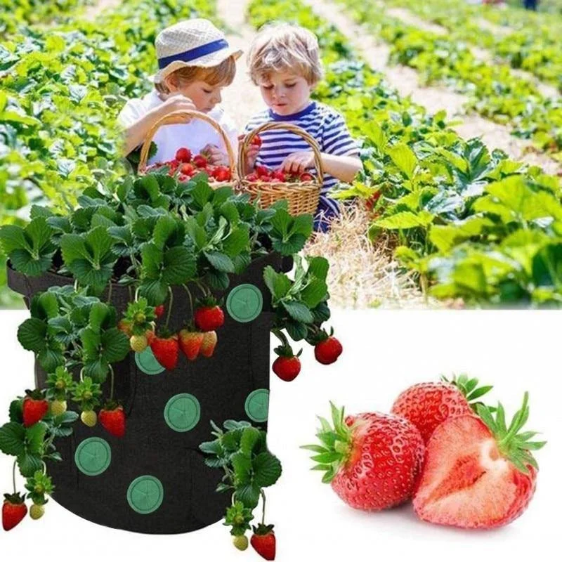 A fabric planter bag with pockets growing vibrant strawberry plants, featuring children picking berries in a garden setting.