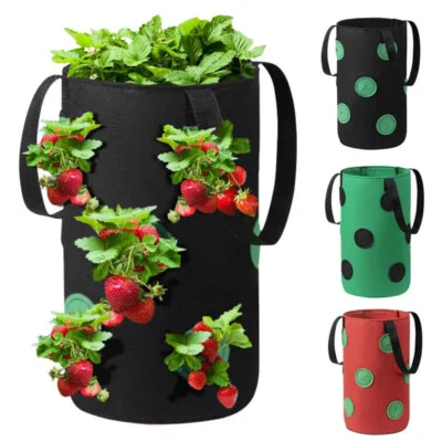 vertical strawberry growing bag wall