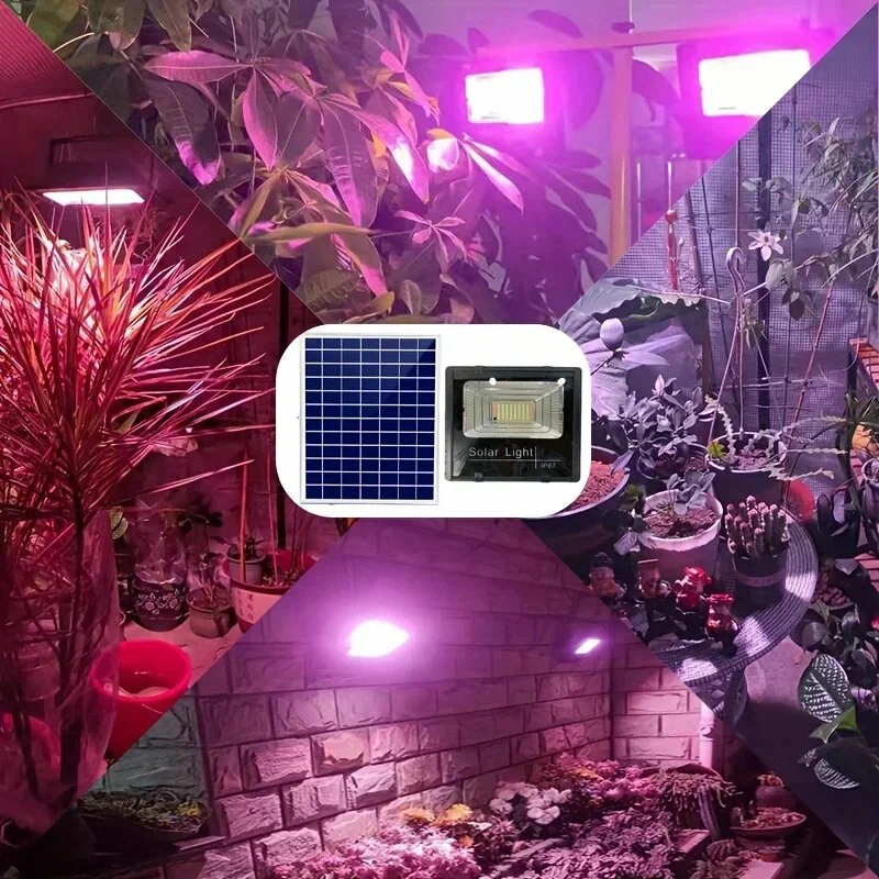 solar-powered-led-flood-grow-lights A solar panel and LED floodlight kit overlaid on a collage of indoor gardens, green houses, and succulents illuminated by purple full-spectrum grow lights.