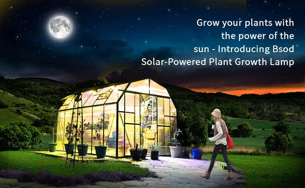 bsod-solar-powered-plant-growth-lamp-greenhouse A brightly lit backyard greenhouse glowing at night under a full moon, with a person walking by. Text reads: Grow your plants with the power of the sun - Introducing Bsod Solar-Powered Plant Growth Lamp.