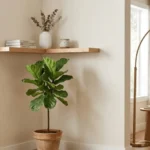empty corner ideas