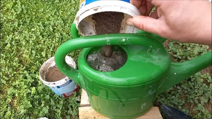 A close-up of a hand pouring a thick, dark, homemade organic fertilizer mixture from a plastic tub into a large green plastic watering can on a lawn background.