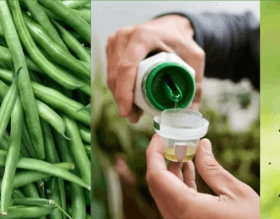 fertilizer for bean plants