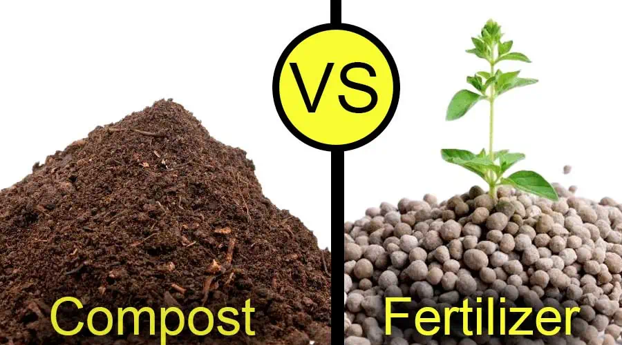 compost vs chemical fertilizer comparison A side-by-side comparison graphic split by a 'VS' symbol, showing a pile of dark organic compost on the left and a pile of grey granular fertilizer pellets with a young green sprout growing out of it on the right.