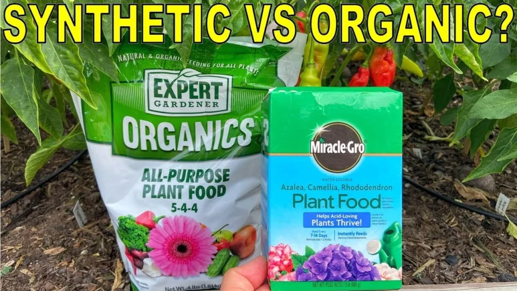synthetic vs organic fertilizer comparison A comparison graphic with text reading 'SYNTHETIC VS ORGANIC?' featuring a bag of Expert Gardener Organics All-Purpose Plant Food 5-4-4 next to a box of Miracle-Gro water-soluble synthetic plant food in a garden setting.