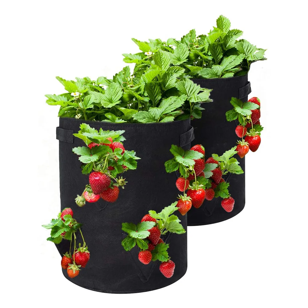 Two large black fabric multi-pocket grow bags overflowing with lush green strawberry plants and clusters of ripe red strawberries against a solid white background.