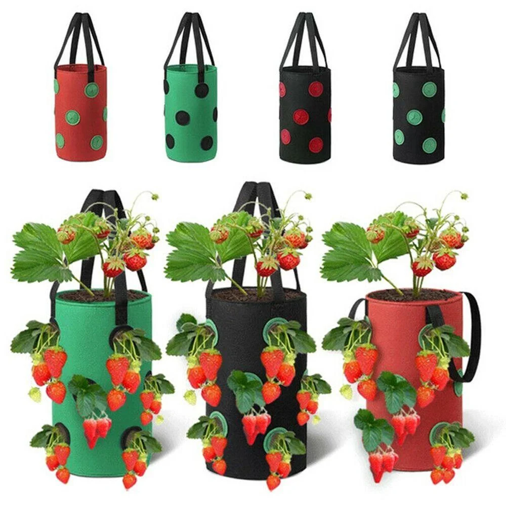 Hanging vertical felt planter bags designed with multiple side openings for growing strawberries, ideal for space-saving patio, balcony, or backyard gardening.