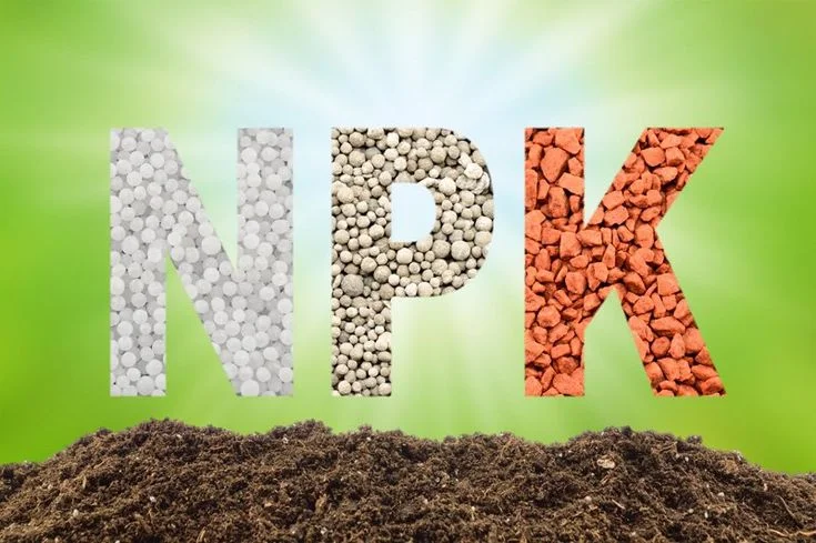 Understanding NPK Fertilizer Ratio for Lawns and Plants The letters N, P, and K filled with different fertilizer types above a layer of soil. 'N' is filled with white nitrogen pellets, 'P' with gray phosphorus granules, and 'K' with reddish-brown potassium rocks, set against a green background.