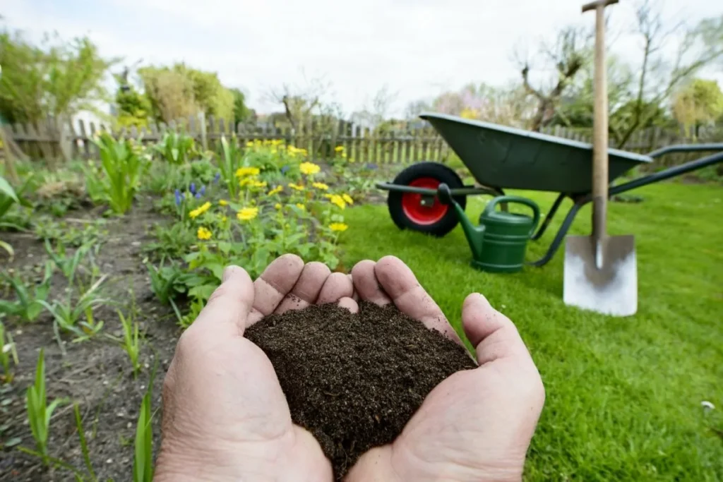 phosphorus free fertilizers soil test.