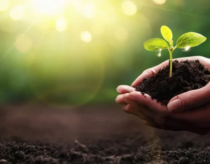 phosphorus free fertilizers