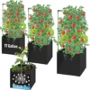 tomato grow bag dimensions.