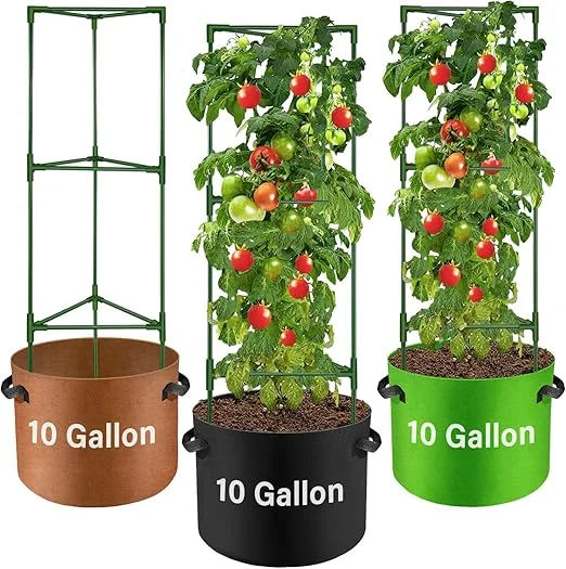 Three 10-gallon round fabric grow bags in brown, black, and green, featuring integrated three-tier green vertical tomato trellis support cages holding up mature tomato plants filled with red and green tomatoes.