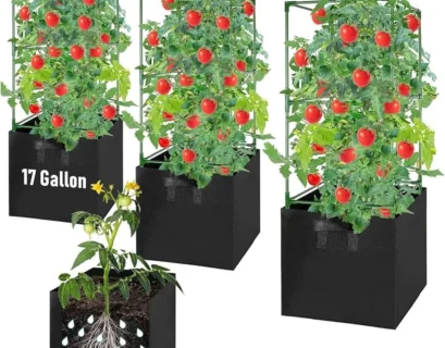 tomato grow bag dimensions.