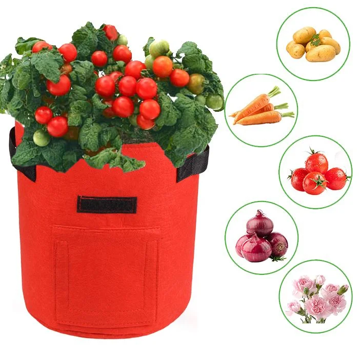A round red fabric grow bag with black handles and a front harvest flap containing a tomato plant with ripe red cherry tomatoes. To the right, five circular green-bordered icons display vegetables and flowers that can be grown in the planter, including potatoes, carrots, tomatoes, red onions, and pink carnations.