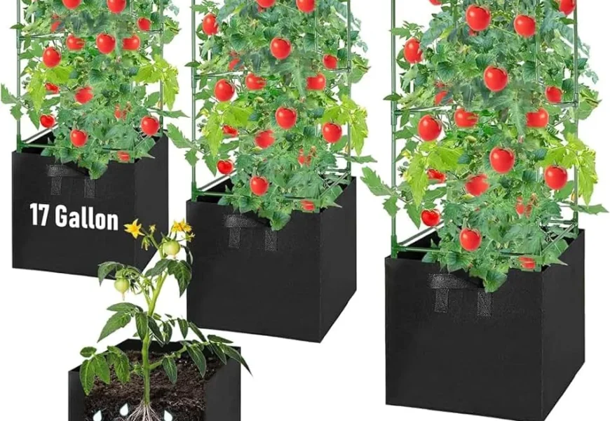 tomato grow bag dimensions.