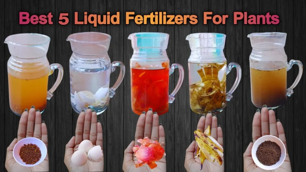 five-liquid-fertilizers-from-kitchen-scraps Five glass pitchers containing homemade liquid fertilizers made from kitchen scraps, shown with hands holding the raw ingredients below: chili flakes, eggshells, onion peels, banana peels, and coffee grounds.