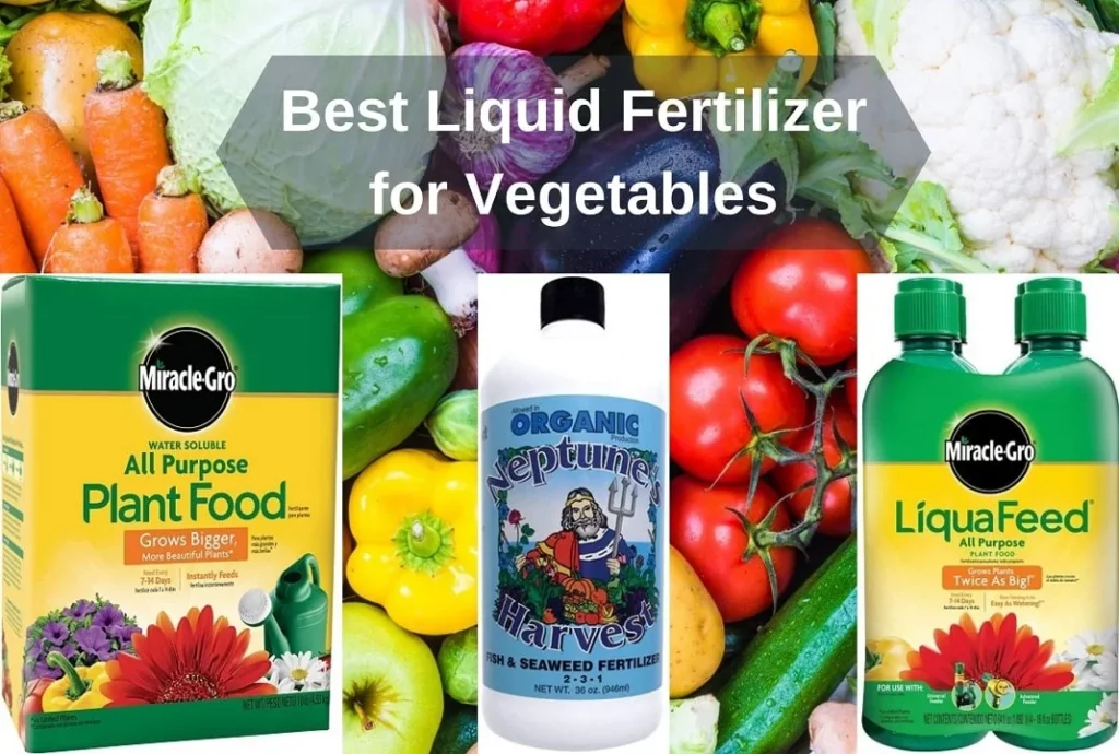 best-liquid-fertilizer-for-vegetables A banner titled "Best Liquid Fertilizer for Vegetables" featuring a background of fresh garden vegetables overlaid with three popular products: Miracle-Gro All Purpose Plant Food, Neptune's Harvest Fish & Seaweed Fertilizer, and Miracle-Gro LiquaFeed.