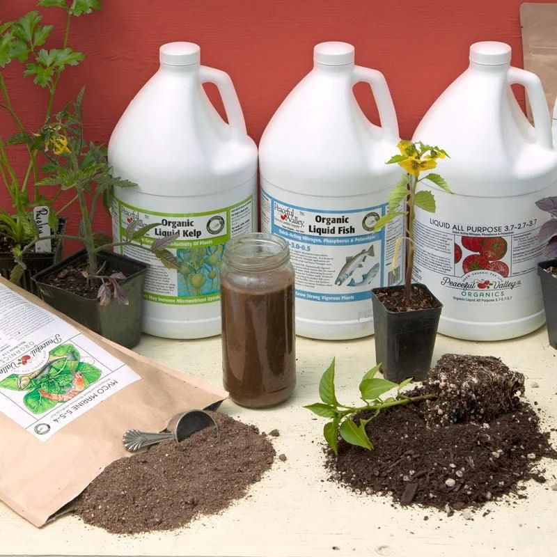 peaceful-valley-organic-liquid-fertilizers-for-vegetables Three white jugs of Peaceful Valley organic fertilizers (Liquid Kelp, Liquid Fish, and All Purpose) arranged behind a jar of brown mixed liquid, a bag of Myco Marine powder, and small tomato and pepper starts.
