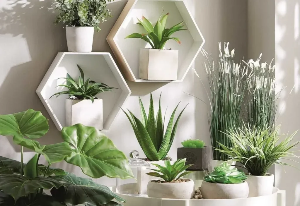 A bright, sunny outdoor corner featuring an assortment of potted plants and succulents. Two white hexagonal floating shelves are mounted on a light gray wall, each holding a small green plant in a white square pot. Below the shelves, a variety of greenery—including an aloe vera plant, tall decorative grasses, and large-leafed tropical foliage—is arranged in light-colored ceramic pots on a tiered display stand.