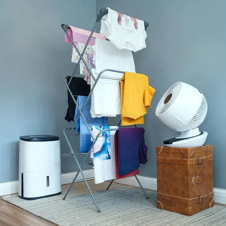 An indoor laundry drying setup featuring a multi-tiered metal clothes rack filled with hanging garments, supported by a white dehumidifier on the floor and a white electric air circulator fan placed on a leather trunk to speed up drying.
