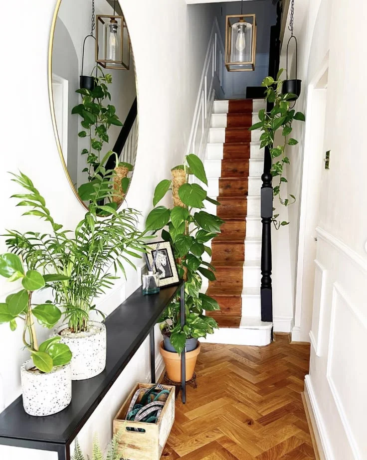 A narrow white hallway filled with lush green plants, a black narrow table, rounded mirror, a decorative wooden crate, and a hanging lantern light fixture next to a staircase.
