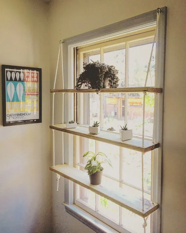 Three-tier wooden hanging window shelf suspended by ropes in front of a sunlit window, holding small potted succulents and house plants.